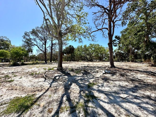 16730 Sw Airport Rd, Home with 0 bedrooms, 0 bathrooms and null parking in CEDAR KEY FL | Image 19