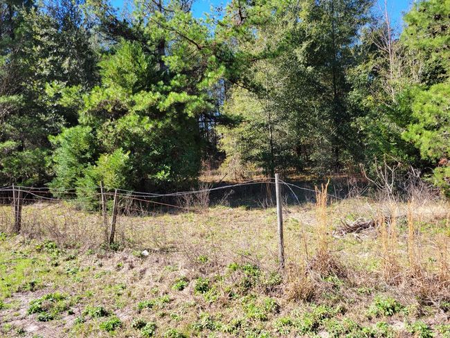 7818 Nw State Rd 45, Home with 0 bedrooms, 0 bathrooms and null parking in HIGH SPRINGS FL | Image 7