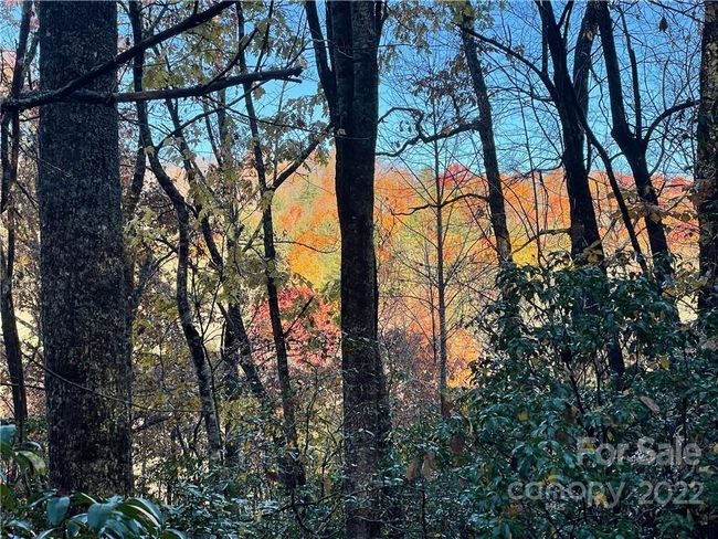 4 - 9999 Sassafras Ln, Home with 0 bedrooms, 0 bathrooms and null parking in Cedar Mountain NC | Image 9