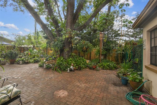 Back Yard | Image 11