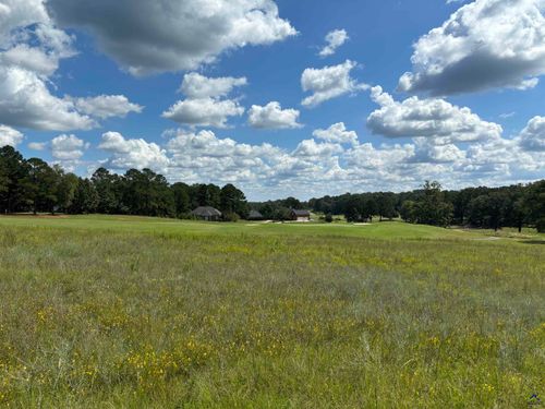 southern-hills-plantation-Lot 16 Camden Way, Hawkinsville, GA, 31036 | Card Image