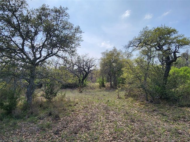 212 Oak Glen Ln, Home with 0 bedrooms, 0 bathrooms and null parking in Briggs TX | Image 21