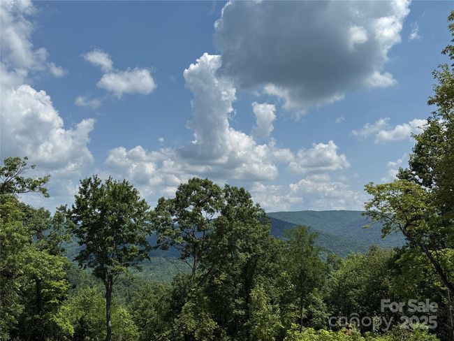 View from 337 Lucas Path Drive | Image 11