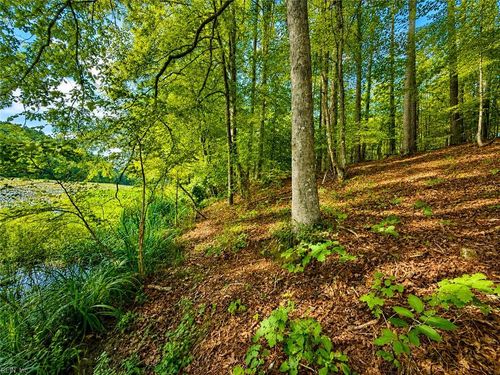 LOT 5 Birdsong Rd, Ebony, VA, 23845 | Card Image