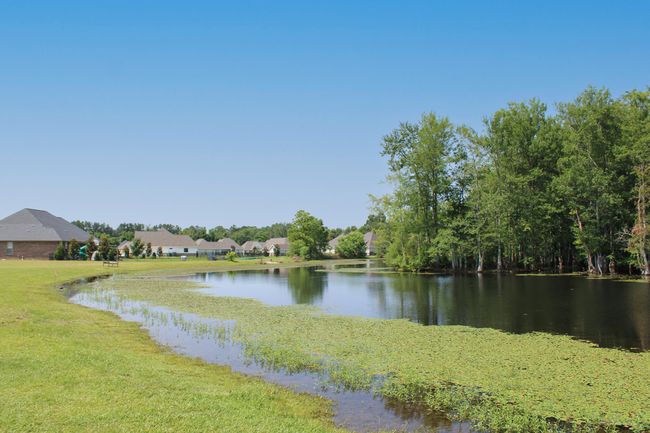 35 Lake Back Yard | Image 36