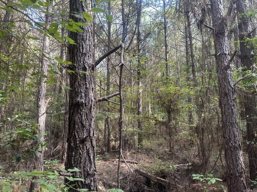 1 Bethel Rd, Mount Holly, AR, 71758 | Card Image