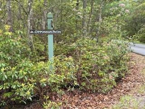 fr-16-FR16 Opossum Path, Brevard, NC, 28712 | Card Image