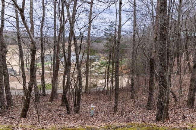 0 Eagle Creek Trl, Home with 0 bedrooms, 0 bathrooms and null parking in Rising Fawn GA | Image 8