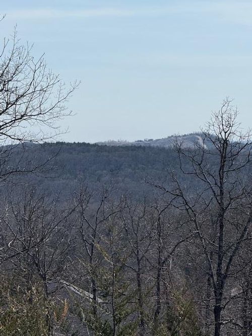 644 Timberland Trl, Branson, MO, 65616 | Card Image