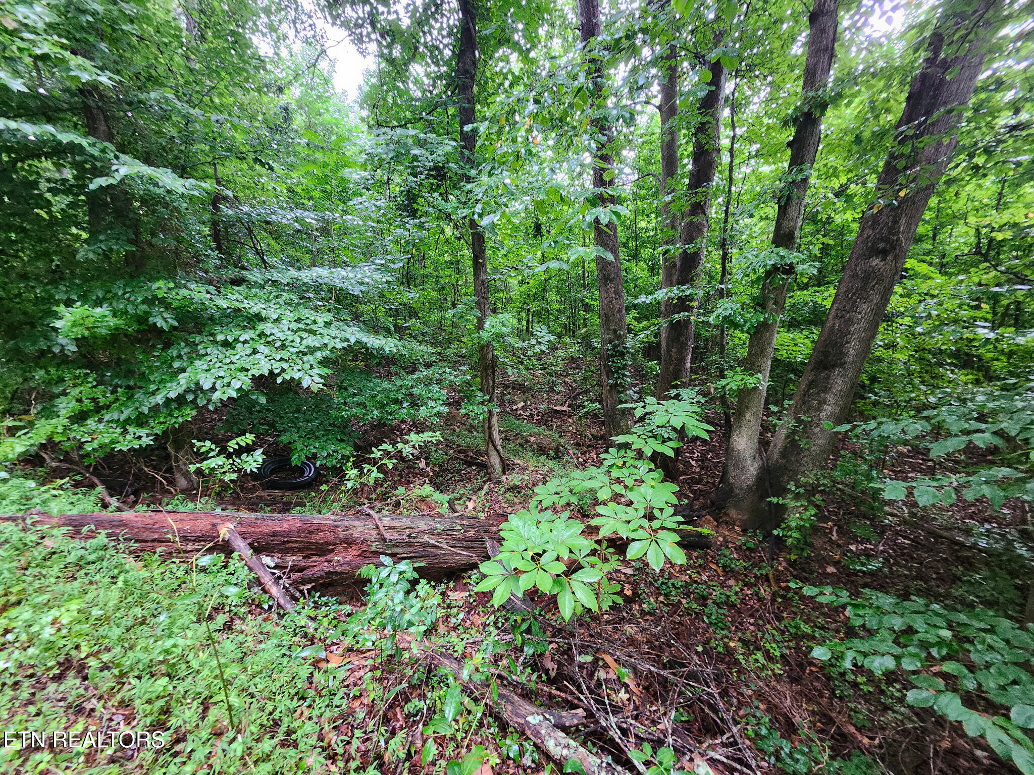 Land in Harriman 5