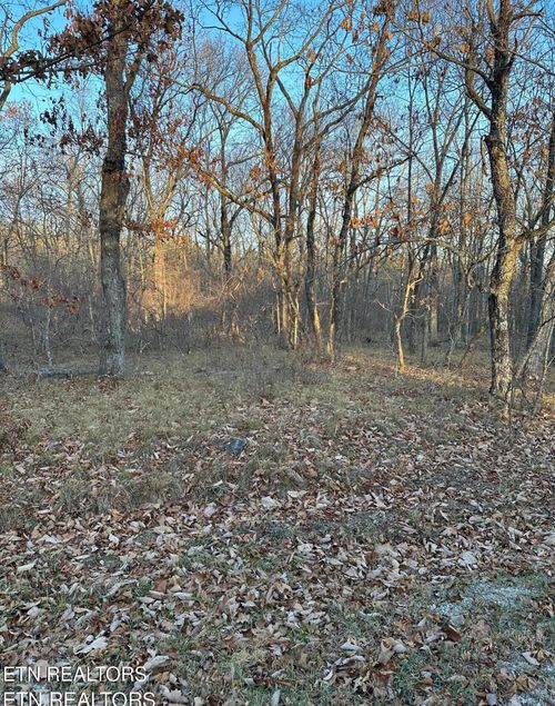 117 Berlingwood Ln, Crossville, TN, 38558-2900 | Card Image