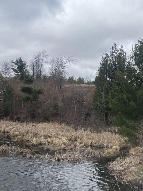 Lot 1 10-7/8 Avenue, Cameron, WI, 54822 | Card Image