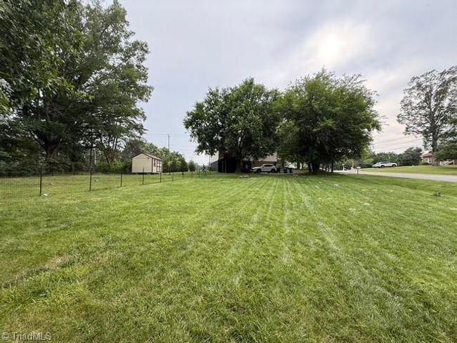 Shade Trees | Image 36