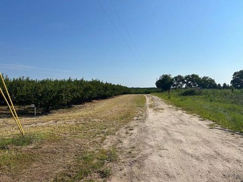 31 Parthinnia Ln, Trenton, SC, 29847-3145 | Card Image