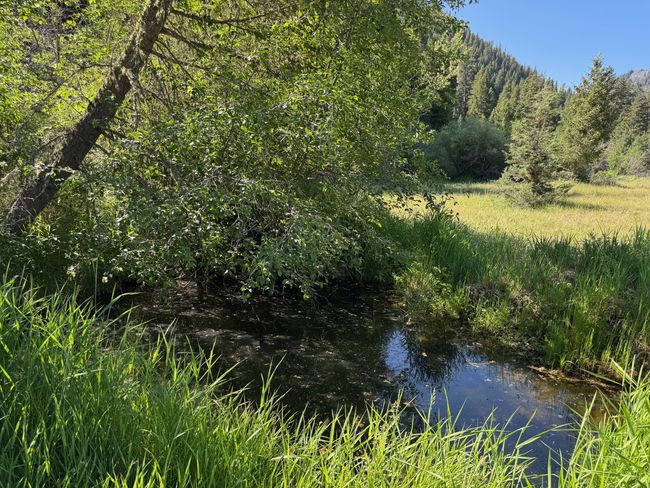 View of woods | Image 32