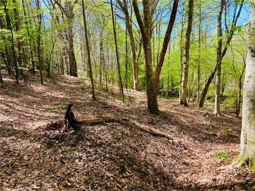 2a-2 Curry Falls Trail Road, Athens, GA, 30607 | Card Image