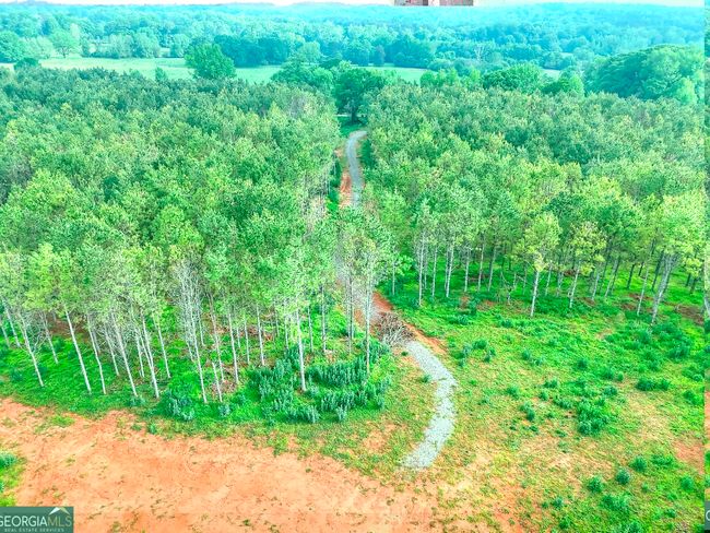 686 Cooper Farm Rd, Home with 0 bedrooms, 0 bathrooms and null parking in Nicholson GA | Image 13