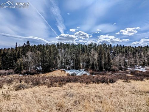 1620 Park Ridge Dr, Guffey, CO, 80820-9684 | Card Image