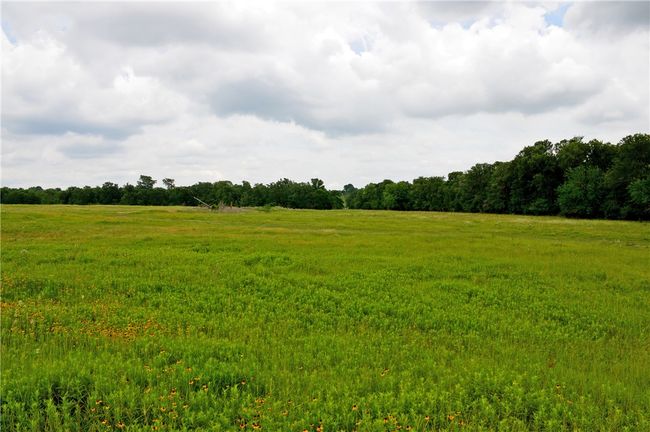 View of undeveloped land featuring rural landscape | Image 38