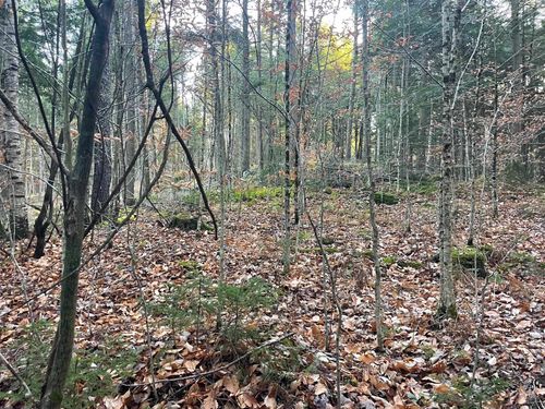 00 Manley Hill Road, West Fairlee, VT, 05083 | Card Image