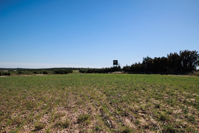 0000 Camp Springs Rd, Home with 0 bedrooms, 0 bathrooms and null parking in Snyder TX | Image 17