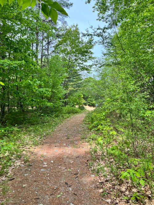 33 Serenity Ln, Topsham, ME, 04086-6222 | Card Image