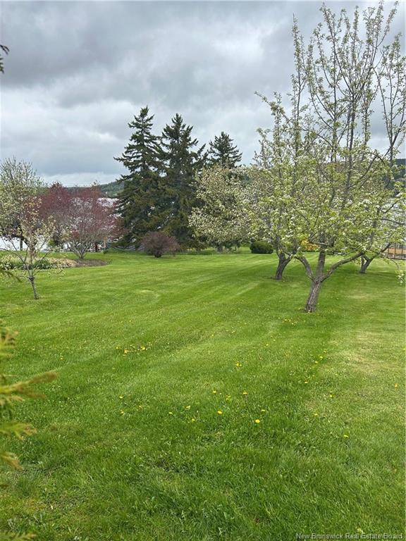Land in Grand Bay-Westfield