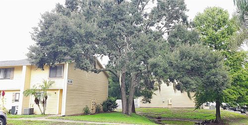 41-22726 Gage Loop, Land O Lakes, FL, 34639-4043 | Card Image