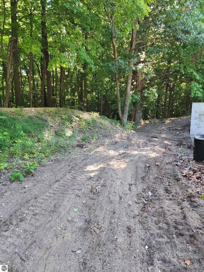 103 Adams Rd, Home with 0 bedrooms, 0 bathrooms and null parking in Frankfort MI | Image 14