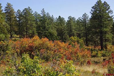 120 Road T.7, Home with 0 bedrooms, 0 bathrooms and null parking in Mancos CO | Image 3