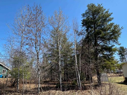 175 Gold St, Ishpeming, MI, 49849-2610 | Card Image