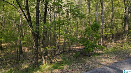 818819821-0 Country Rd, WARRIOR, AL, 35180 | Card Image