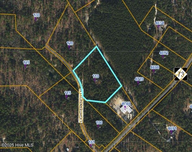 110 Lighterknot Ln, House other with 4 bedrooms, 5 bathrooms and 3 parking in West End NC | Image 18