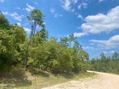 Lot 13 Noble Circle, Home with 0 bedrooms, 0 bathrooms and null parking in Alford FL | Image 2