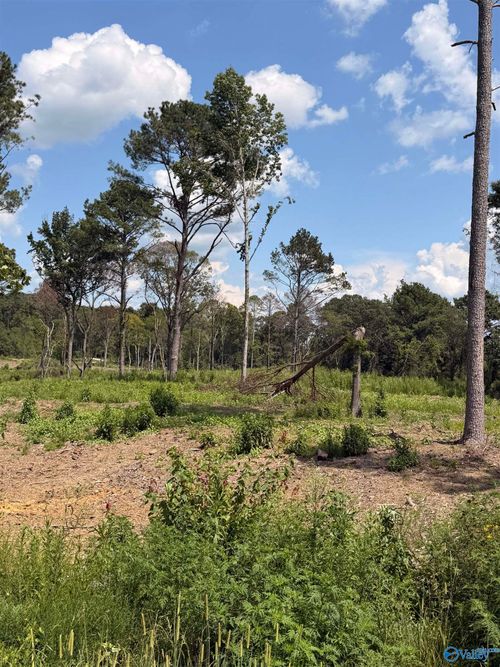 Lot 37 County Road 158, Centre, AL, 35960 | Card Image