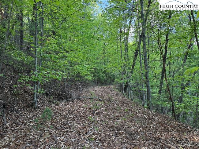27 Wolf Pen Rd, Home with 0 bedrooms, 0 bathrooms and null parking in Purlear NC | Image 6