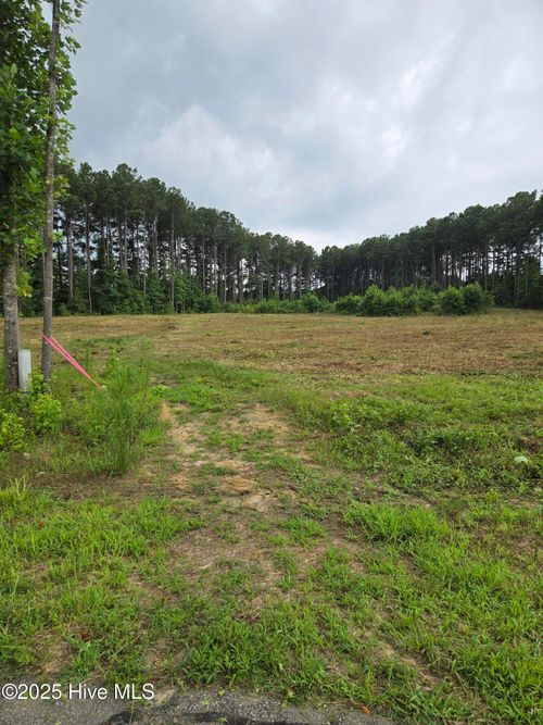 Lot 51 Roseheath Rd, Bailey, NC, 27807 | Card Image
