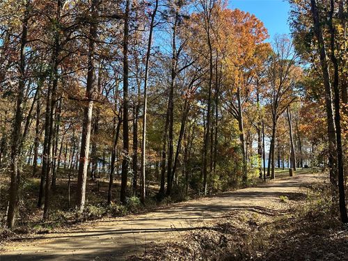 N/A Lot 58 County Road 2938, Mt Pleasant, TX, 75455 | Card Image