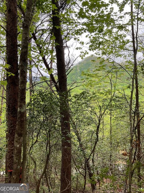 0 Big Creek Rd, Otto, NC, 28763 | Card Image