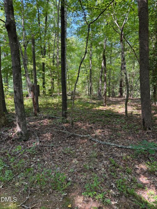 153 Omaha Drive, Louisburg, NC, 27549 | Card Image