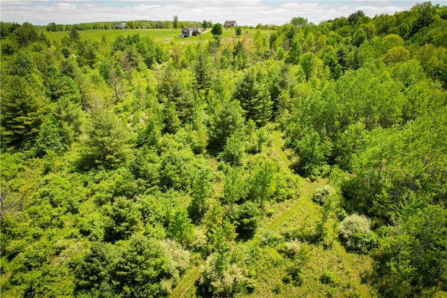 200 Straw Hill Rd, Home with 0 bedrooms, 0 bathrooms and null parking in Barton NY | Image 37