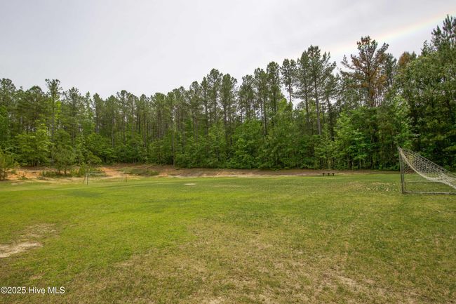 1471 Micahs Way N, House other with 3 bedrooms, 3 bathrooms and 2 parking in Spring Lake NC | Image 83