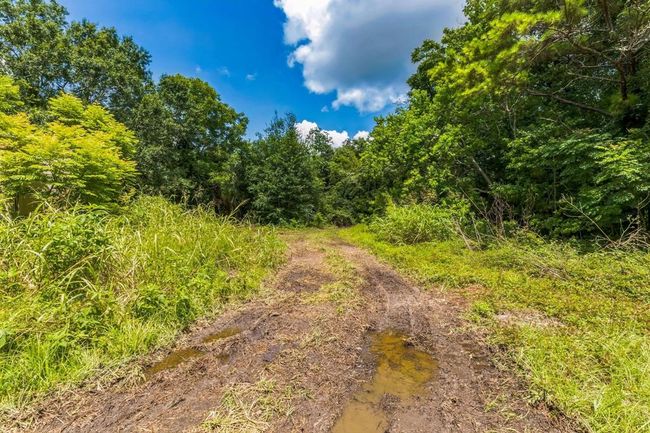 0 Davis Bend Rd, Home with 0 bedrooms, 0 bathrooms and null parking in Alvin TX | Image 33