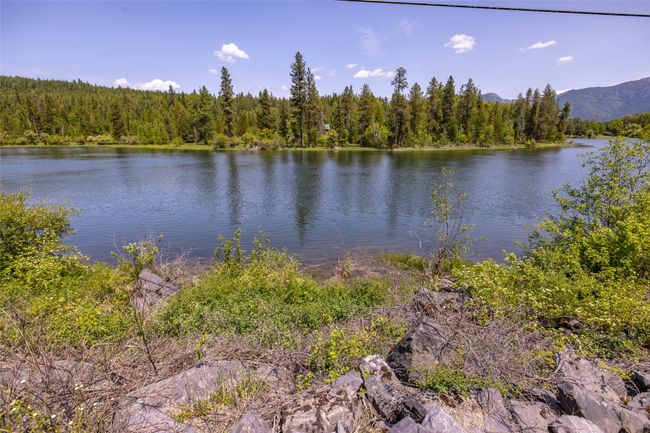Water view with a forest | Image 112