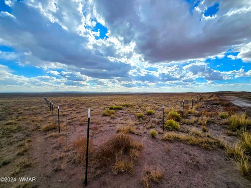 Lot 299 Carrizo Ranches, St. Johns, AZ, 85936 | Card Image
