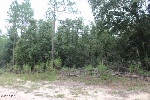 north-lot-0 N Sally Jean Road, Defuniak Springs, FL, 32433 | Card Image