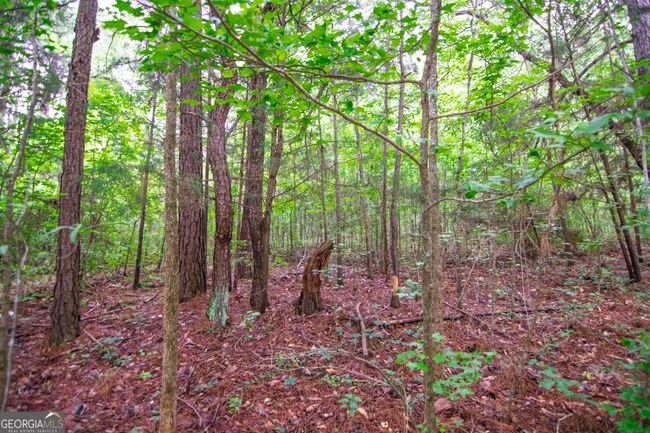 0 Ga Highway 103, Home with 0 bedrooms, 0 bathrooms and null parking in WEST POINT GA | Image 4