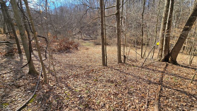 9885 W County Road 75 S, Home with 0 bedrooms, 0 bathrooms and null parking in Medora IN | Image 16