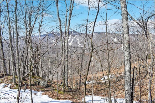 48 Durkin Rd, Home with 0 bedrooms, 0 bathrooms and null parking in North Creek NY | Image 19