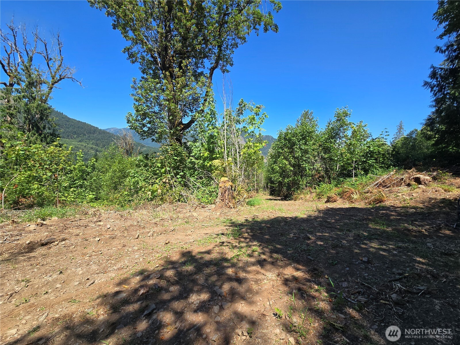 Land in Morton 2